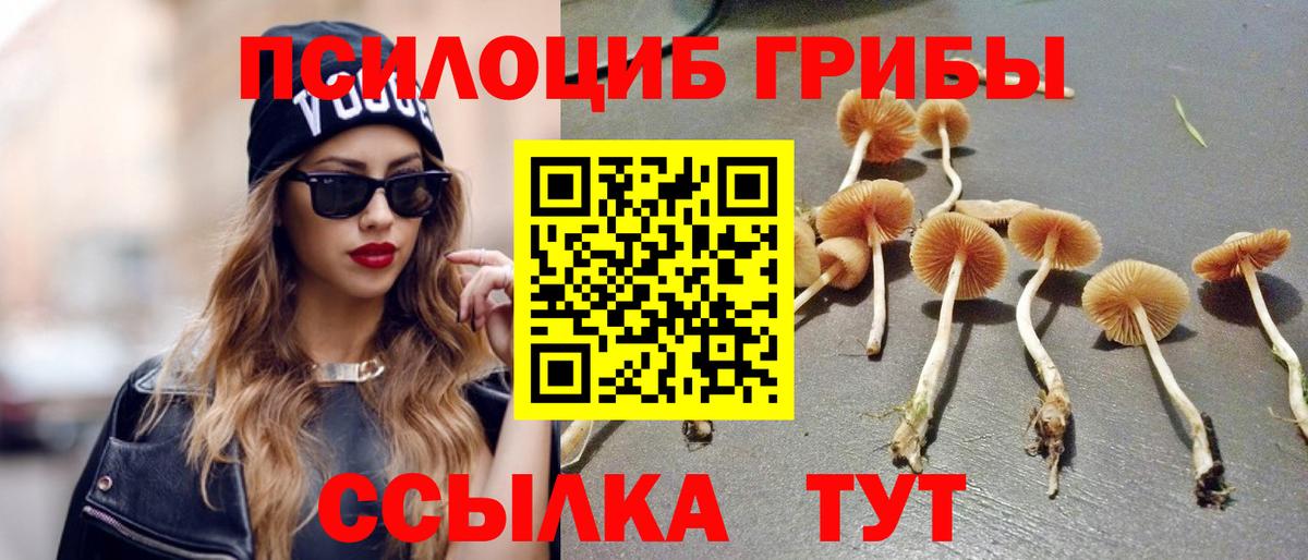 где купить наркоту  Галлюциногенные грибы MAGIC MUSHROOMS  Вход с VPN  Клинцы 
