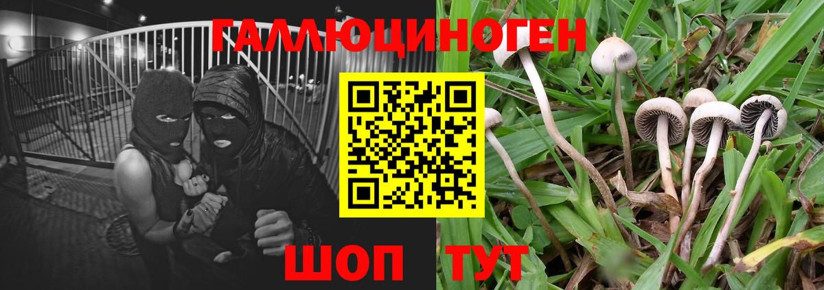 Галлюциногенные грибы GOLDEN TEACHER Клинцы